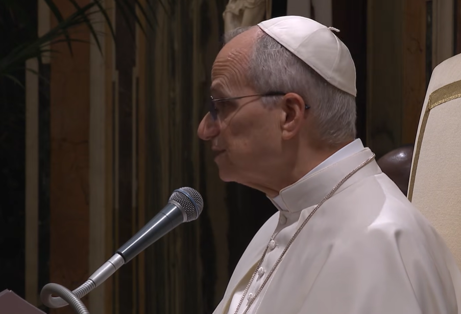 „Schwerster Angriff auf Leben und Gesundheit“ – Papst fordert nachhaltiges Gesundheitssystem