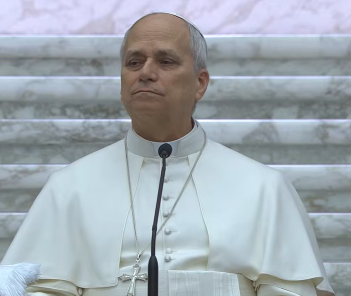 Papst Leo XIV.: Rückkehr zur Evangelisierung und Feuer des Glaubens neu entfachen