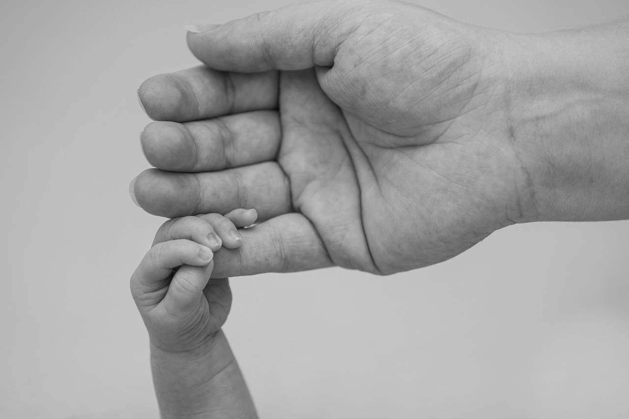 Pro Familia: Wie familienfreundlich ist die Organisation wirklich?